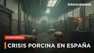 Peste porcina | COAG analiza el impacto en las exportaciones y las restricciones internacionales