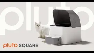 Pluto Square | The Modern Cat Litter Cube