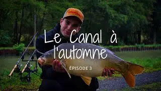 Pêche de la Carpe en Canal / Obligé d'écourter ma session ?! épisode 3 / 4K