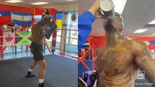 Stunna Girl выражает поддержку Blueface во время его тренировок перед предстоящим боксерским поед...