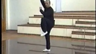 #whkd #kata Sifu Christian Wulf - Wun Hop Kuen Do- Kajukenbo Emtyhand Kata 1994 /Spain