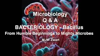 Microbiology Q&A Bacteriology - Bacillus: From Humble Beginnings to Mighty Microbes