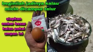 Beginilah jadinya kalau nekat mancing pakai umpan ini || umpan jitu ikan nilem #204