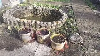 Продолжаю готовится к зиме 