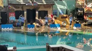 มะลิเที่ยว Safari World 24 ม.ค. 69 คลิปที่ 8 #safari #safariworldbangkok #thailand #เด็กน่ารัก 