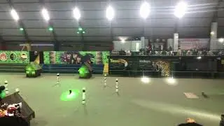 Festribal 2025 S&atilde;o Gabriel da Cachoeira - Filhos Do Rio Negro 🖤💚
