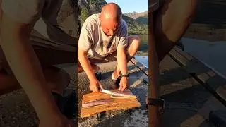 Пробуем сырую свежепойманную скумбрию #senjacamp #norway #fishinginnorway #островсенья #скумбрия