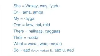 Somali Essentials: 100 Common Words used in Spoken Conversation!