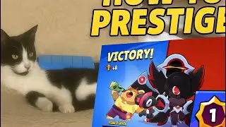 Prestige Secrets You Didn&rsquo;t Know