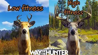 Knowing the difference between high and low fitness animals