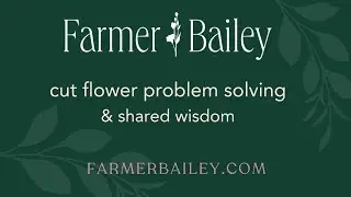 Cut Flower Problem Solving with Farmer Bailey