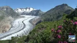 Aletsch Arena Sommer