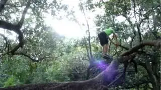 Team Zoic - Parkour & Freerunning