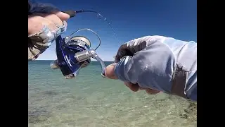 Light Tackle Fishing - Shark Bay Landbased (Part 1)