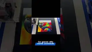4 print head 8 colors dtg printer