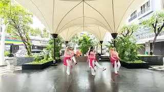 Mode Pesawat | Line Dance | @caecilia Maria Fatruan | demo : Happy Dancing 