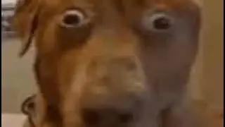 sad video😔😔😔😔😔💔💔💔