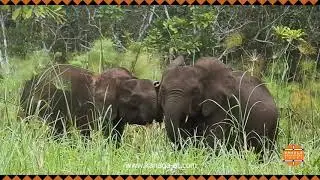 Viaggio in GABON - Kanaga Adventure Tours