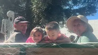 Yogi Bear camping Halloween 
