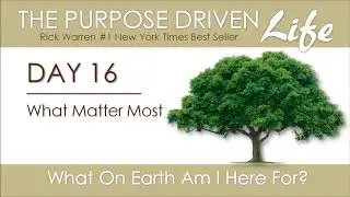 Purpose Driven Life | Day 16