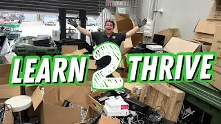 COMPLACENCY will kill your eBay Business (learn to thrive)