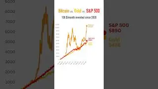 Bitcoin vs. Gold vs. S&P 500: 100 $/month invested since 2020