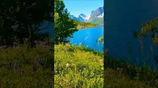 #природныепейзажи #юмор #отдых #Long way  kanal