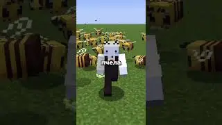 Пчёлы&hellip;