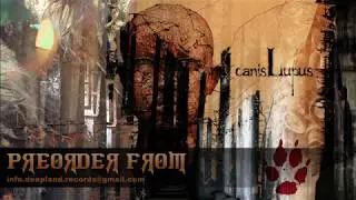 Canis Lupus // Love in isolation