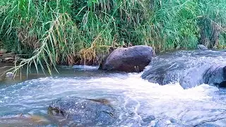 Deep Sleep Soundscape with River Water