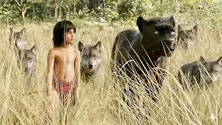 He Grew Up With Wolves But the Jungle Has Other Plans - Movie Recap