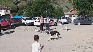 ILGAZ ÖMERLİ KÖYÜ DAMAT DONATMA