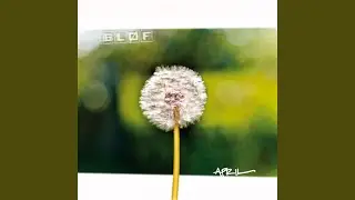 Eilanden 2