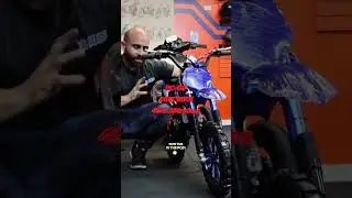 WILD HOGS SCOOTERS POWERSPORTS DEALER IN WINTER GARDEN FLORIDA