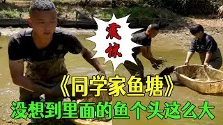同學家的老魚塘，沒想到裏面的魚個頭這麽大 #小飛哥#三農 #護外 #新農人計劃2026 #包塘