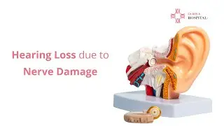 Hearing Loss due to Nerve Damage | CK Birla Hospital #3danimation  #hearingloss #nervedamage #ent