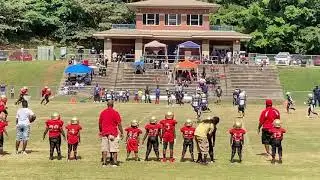 Rome Wolves 6U