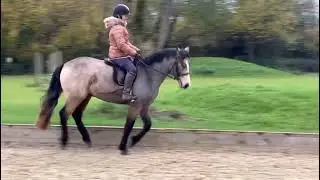 Advert reference - 323418