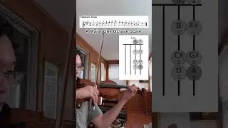 A Major One Octave Scale #violinist #violin #music #violinmusic #scales #violinlessons #musician