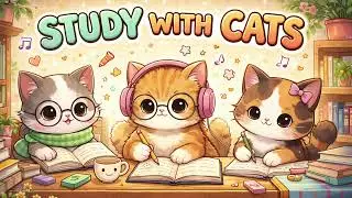 Relaxing Study Music With Cats