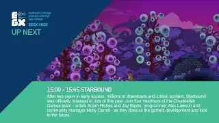 The Development of Starbound