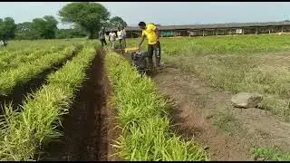 Texas Vario 9 DP | 9 HP back rotary power weeder | 9 HP पॉवर टिलर बॅक रोट्टर | ₹20,000 डिस्काउंट |