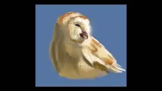 Barn owl - digital painting process #shorts