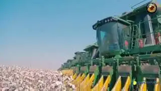 😯😯 cotton harvest in brazil,I want to work there 🙂🙂