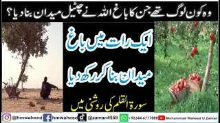Wo Log Jinka Rato Rat Bag Ojar Dia Allah Nay | اللہ نے کیسے ایک رات میں باغ ختم کر دیا| Azab-e-Ilahi