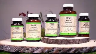 ROOT2: Explore new and powerful ways to enhance your healthy life