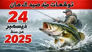 توقعات الصيد في عمان في 24 ديسمبر 2025: اترك كل شيء واذهب للصيد!