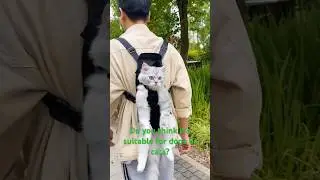Pet backpack #backpack #bag #pet #dog #cat #funny #cute #question #answer #foryou