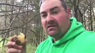 Mushroom Hunting Southern Indiana