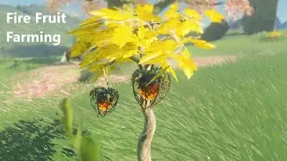 Fire Fruit Farming | In-Isa Shrine | Great Sky Island | 18 Fire Fruits Quickly || Zelda TOTK
